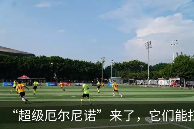 “超级厄尔尼诺”来了，它们能扛得过去吗？