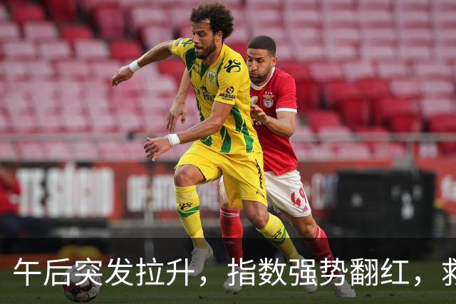 午后突发拉升，指数强势翻红，救兵来了？