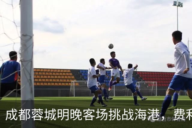 成都蓉城明晚客场挑战海港，费利佩复出：现在说什么不重要，关键是决心和表现