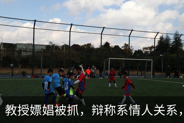 教授嫖娼被抓，辩称系情人关系，状告公安局，终审败诉 | 旧案重提