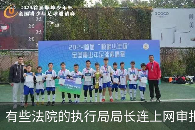 有些法院的执行局局长连上网审批的时间都没有，他们到底在忙什么？