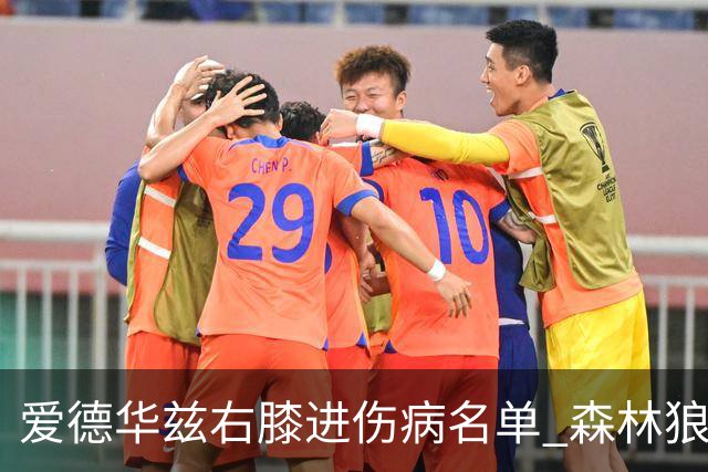 爱德华兹右膝进伤病名单 森林狼战骑士存变数