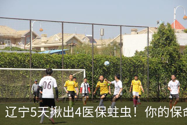 辽宁5天揪出4医保蛀虫！你的保命钱还安全吗？