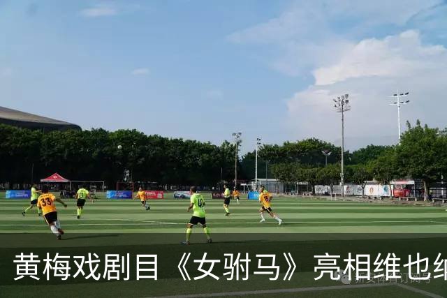 黄梅戏剧目《女驸马》亮相维也纳“中国戏演出季”