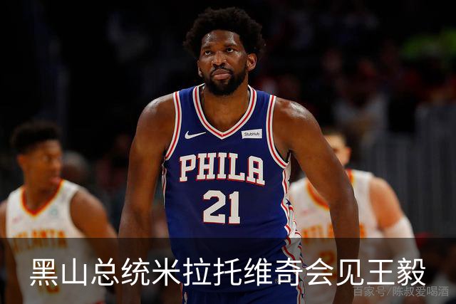 黑山总统米拉托维奇会见王毅