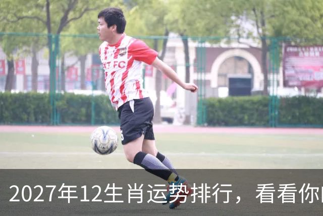 2027年12生肖运势排行，看看你的排名第几，前三个将彻底翻身