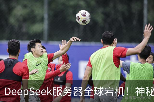 DeepSeek服务器全球宕机！神秘Harness账号同时现身