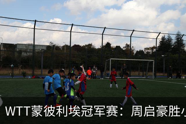 WTT蒙彼利埃冠军赛：周启豪胜小勒布伦 国乒八将进八强